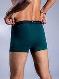 Men Trunks Racing Green Back Close Up